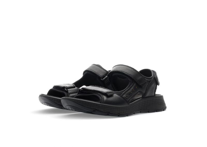 Ara Elio Black